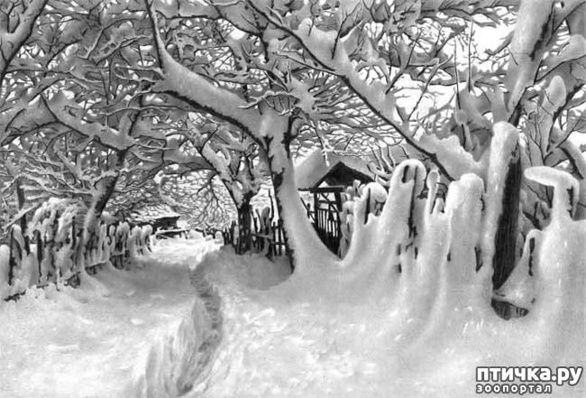 ���� 11: ������������ ������� ���� ������� ����������