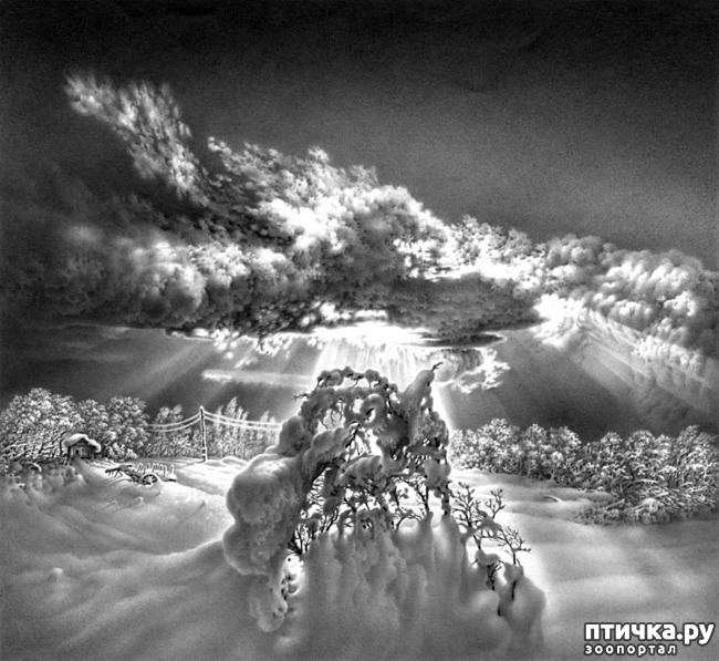 ���� 12: ������������ ������� ���� ������� ����������