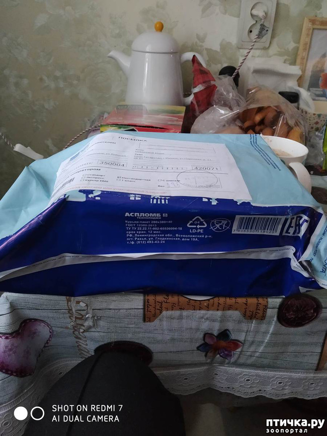 ���� 1: � ����� - � ����� �����!