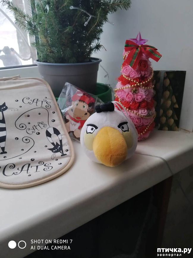 ���� 2: � ����� - � ����� �����!