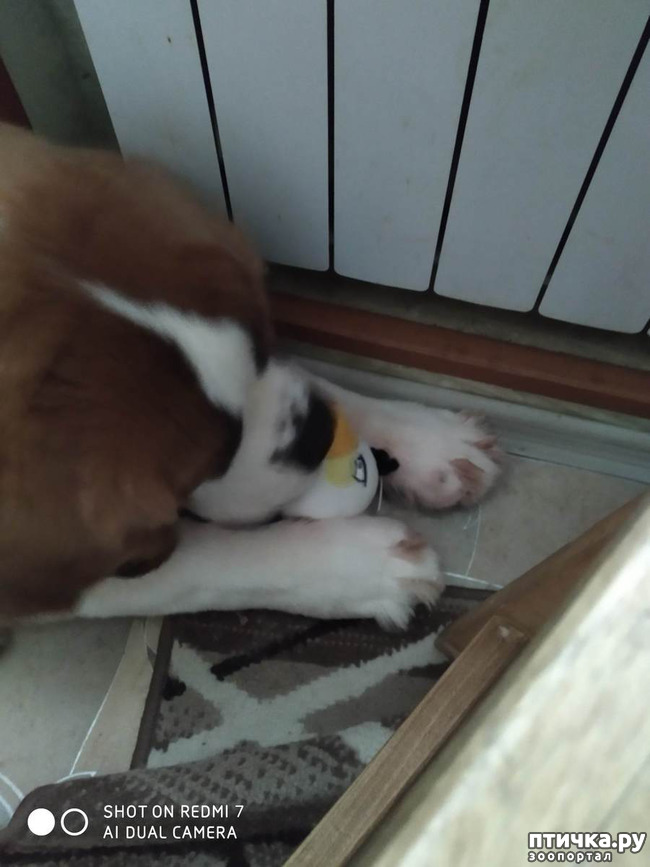 ���� 3: � ����� - � ����� �����!