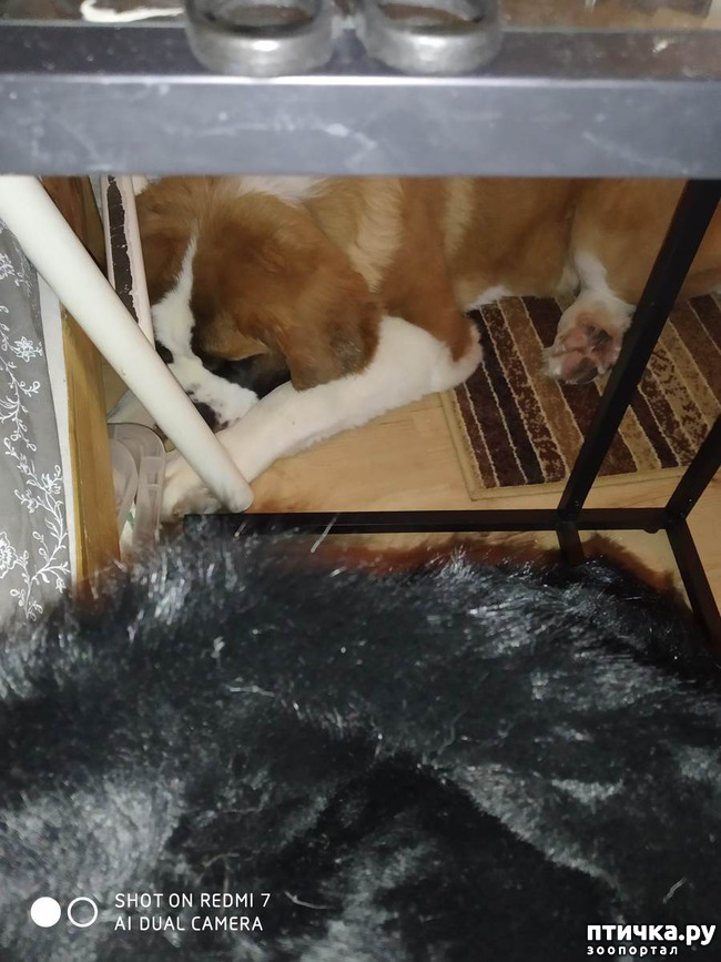 ���� 4: � ����� - � ����� �����!