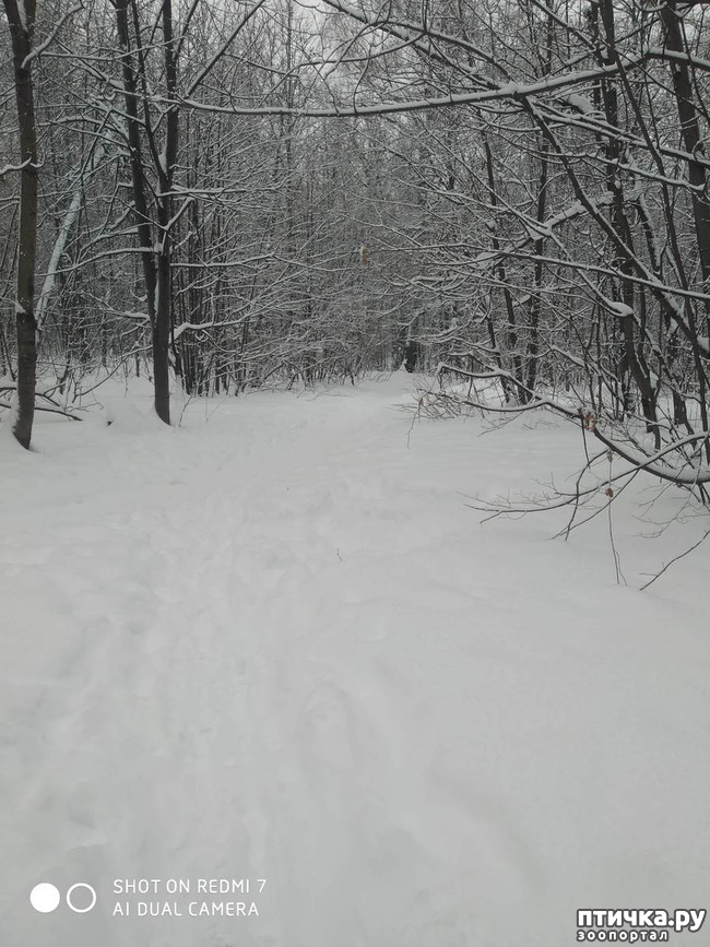 ���� 5: � ����� - � ����� �����!