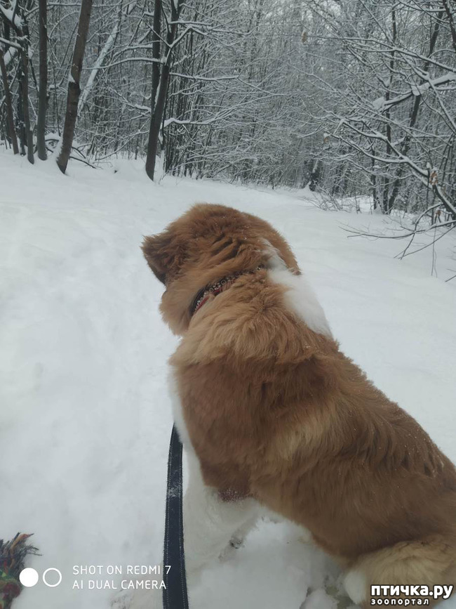 ���� 6: � ����� - � ����� �����!