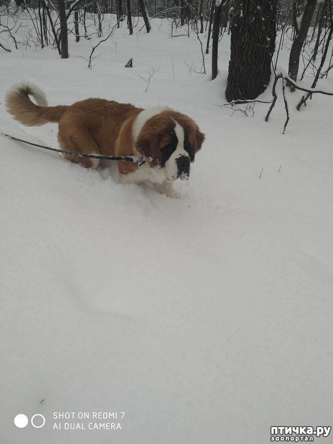 ���� 7: � ����� - � ����� �����!