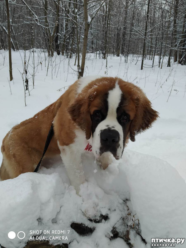 ���� 8: � ����� - � ����� �����!