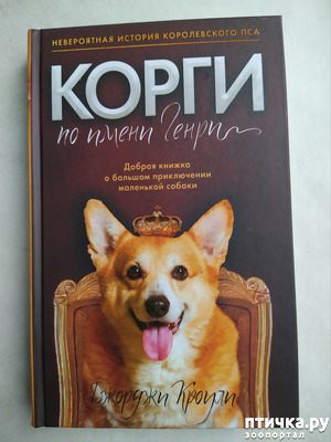 ����: �������������� ������� � �����. ������� ������ "����� �� ����� �����"