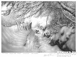 ����: ������������ ������� ���� ������� ����������