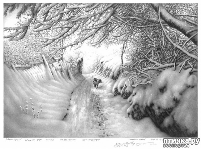 ���� 1: ������������ ������� ���� ������� ����������