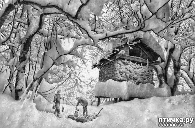 ���� 2: ������������ ������� ���� ������� ����������