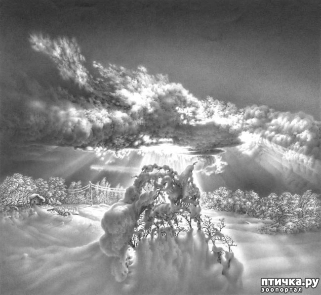 ���� 3: ������������ ������� ���� ������� ����������