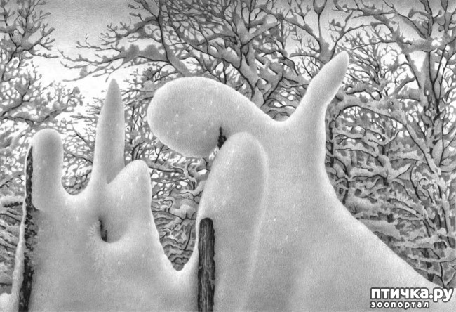 ���� 4: ������������ ������� ���� ������� ����������