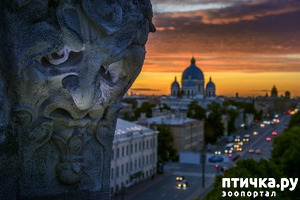 ����: ������� ���������� 2