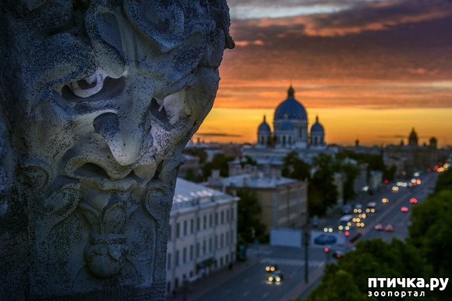 ���� 1: ������� ���������� 2