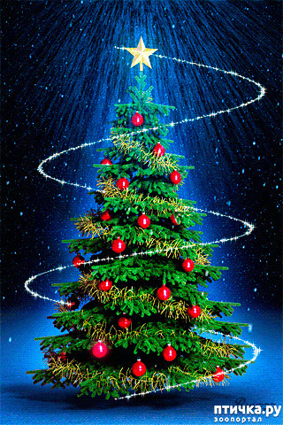 ���� 4: ����������� ������ ����! � � ����������� ����������!