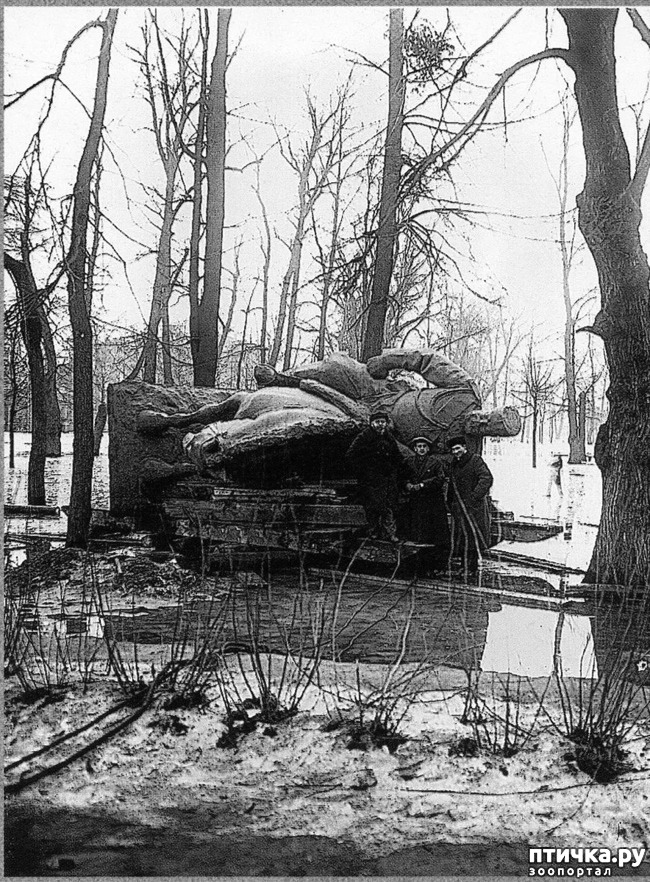 ���� 6: ������� ���������� 2