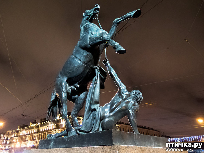 ���� 4: ������� ����������