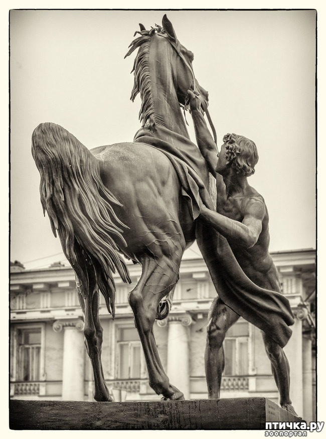 ���� 2: ������� ����������