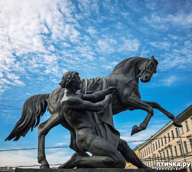 ���� 5: ������� ����������