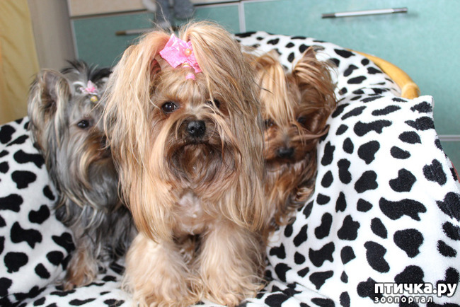 ���� 6: ����������� ������ ����! � � ����������� ����������!