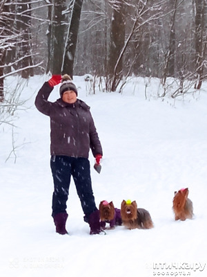 ����: � ����� - �� ��������!