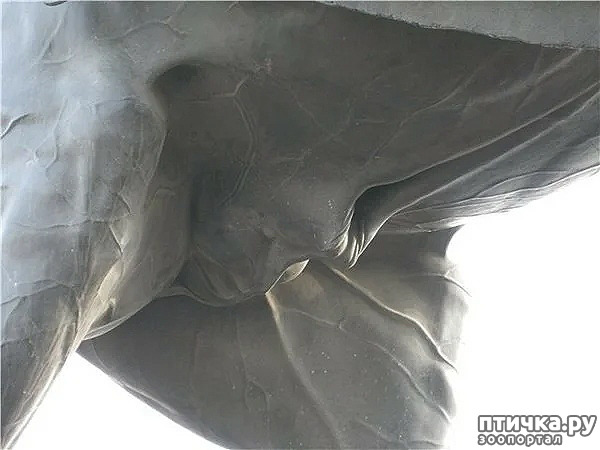 ���� 7: ������� ����������