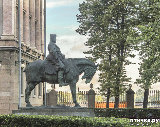 ���� 9: ������� ���������� 2