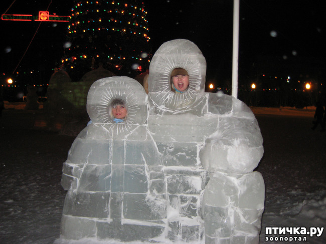 ���� 2: ����������� ������ ����! � � ����������� ����������!