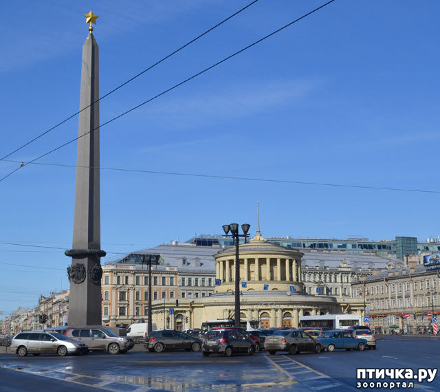 ���� 12: ������� ���������� 2