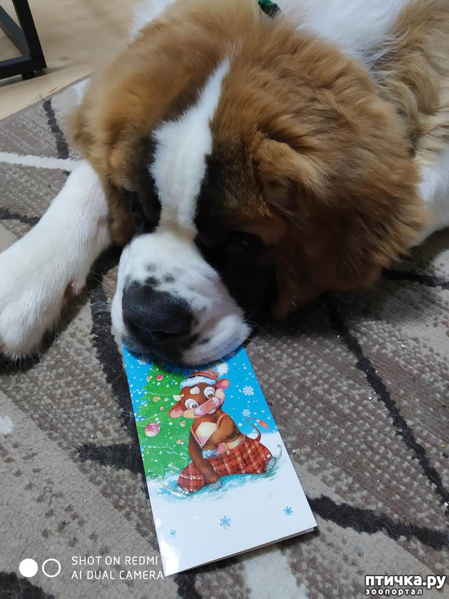 ���� 2: ���������� ������� ������������!