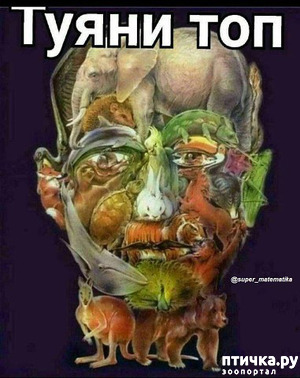 ����: ������ ����... � ����� � �� ������.