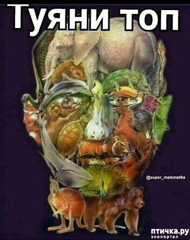 ���� 1: ������ ����... � ����� � �� ������.