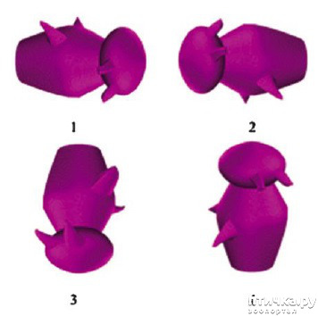 ���� 5: ������ ����... � ����� � �� ������.