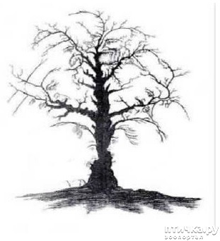 ���� 6: ������ ����... � ����� � �� ������.