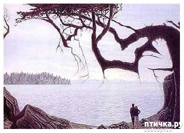 ���� 7: ������ ����... � ����� � �� ������.