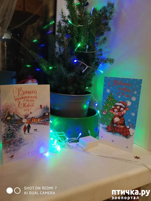 ����: ���������� ������� ������������!