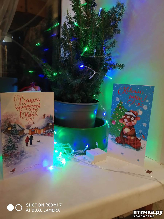 ���� 1: ���������� ������� ������������!