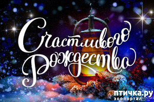 ����: � ���������� ���������!