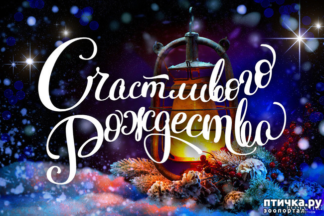 ���� 1: � ���������� ���������!