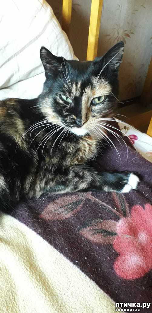 ���� 1: ������ �� ��������