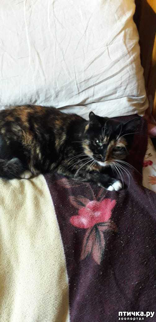 ���� 2: ������ �� ��������