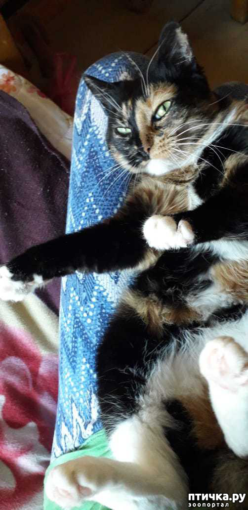 ���� 3: ������ �� ��������