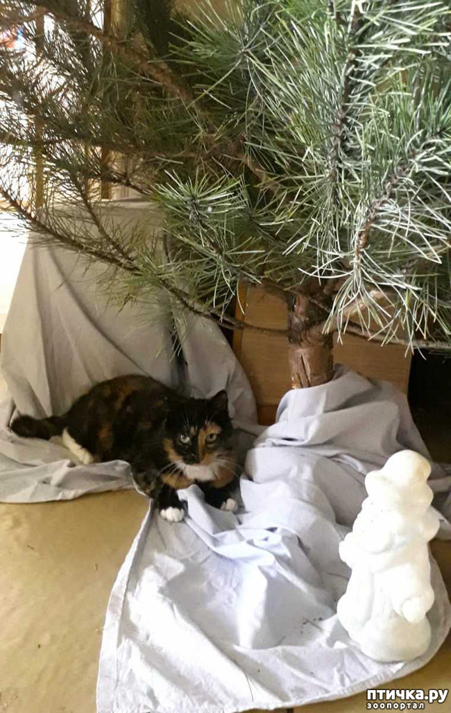 ���� 4: ������ �� ��������