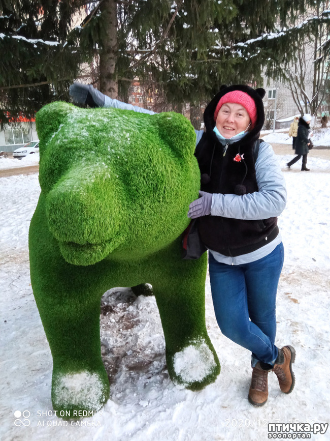 ���� 1: �������� � ������� - �������, �������! ��� ����� ������!