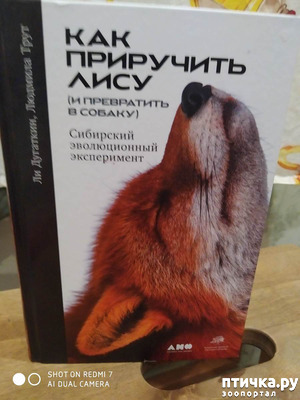 ����: "��� ��������� ���� (� ���������� � ������)"