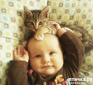 ����: �������