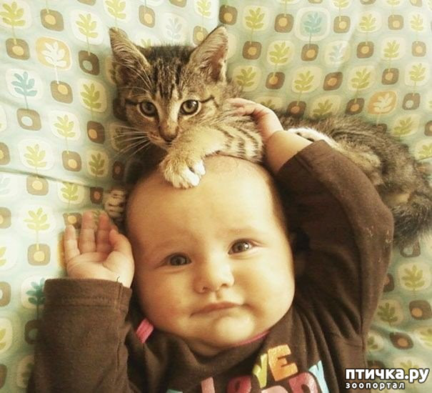 ���� 1: �������