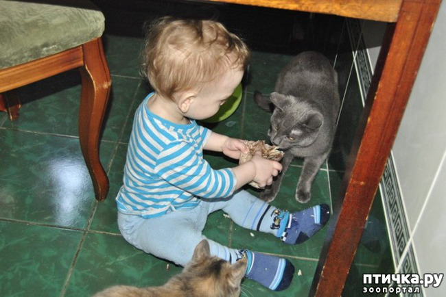 ���� 2: �������