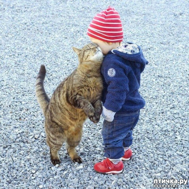 ���� 6: �������