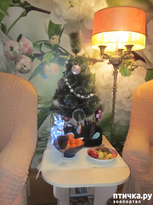 ����: ���� ���������